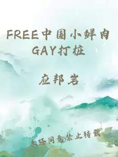 FREE中国小鲜肉GAY打桩