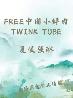 FREE中国小鲜肉TWINK TUBE